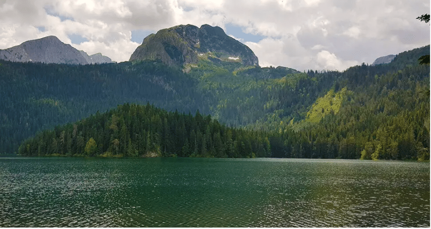 حياة مليئة بالجمال الطبيعي